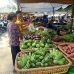 លោកប្លោកប៉ៃជំទុកទី 1 ឃុំគៀនសង្កែបរិយាយពីភាពជឿជាក់លើការដាំដំណាំសុវត្ថិភាពមិនរងផលប៉ះពាល់ដល់សុខភាពប្រជាជន
