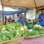 ចូលរួមយ៉ាងសកម្មជាមួយយុវជនក្នុងការរួមចំណែកលើស័យកសិកម្ម AFD