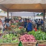 ការអនុវត្តដាំបន្លែកសិអេកូឡូស៊ី របស់អ្នកស្រីឆាន់សៅកែ